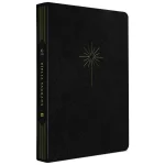 Bíblia Slim Filament | Preta - NVT - Imagem 2